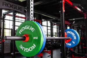 rogue fitness