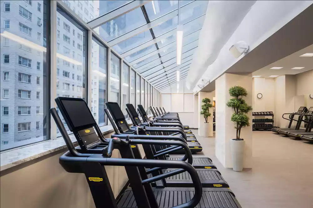 Midtown Luta Livre - Ultimate Gym NYC - New York, New York