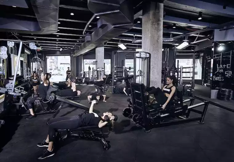 DOGPOUND gym interior