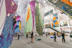 Movement Climbing