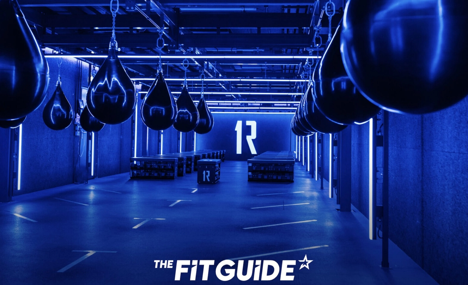 The Fit Guide Releases ‘Year One’ Boutique Fitness Industry Reports