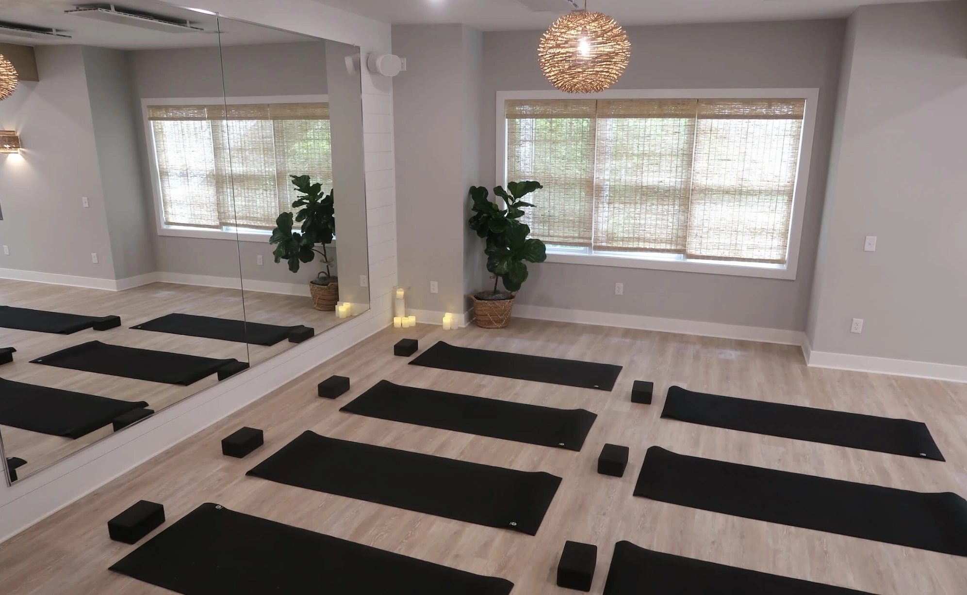 Momence Is a Must-Have for Gyms & Studios Growing From the Ground Up ...