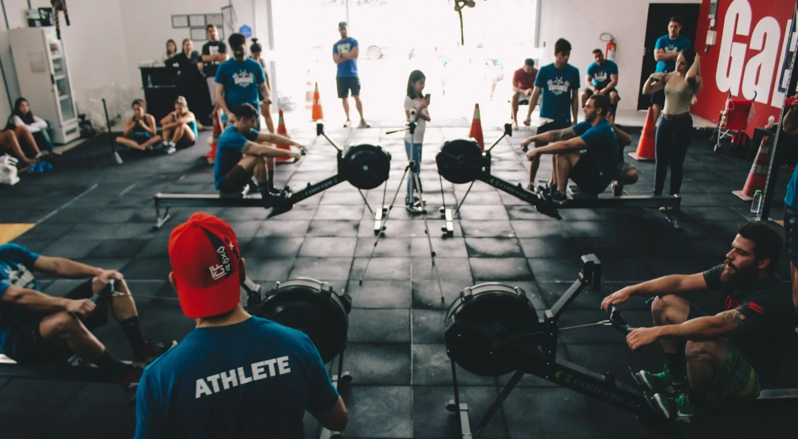 Trainers gathered in a gym