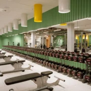 McFit gym with new colors