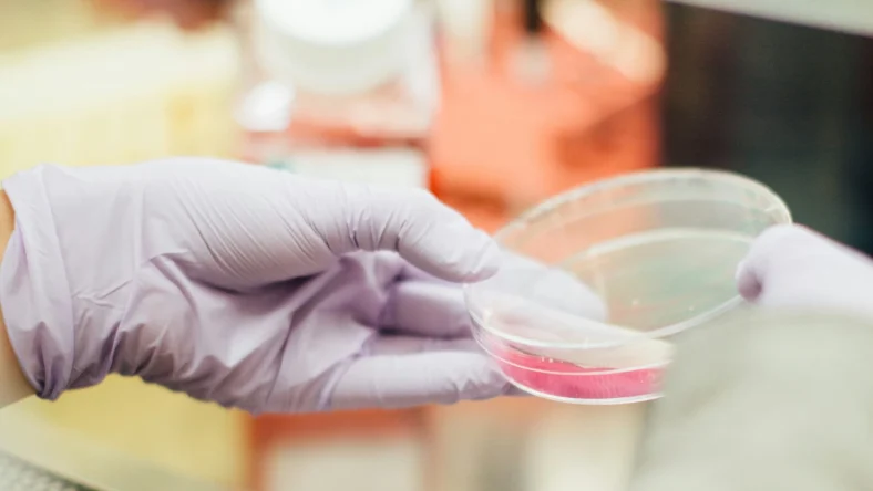 person in lab with plastic container