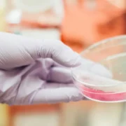 person in lab with plastic container