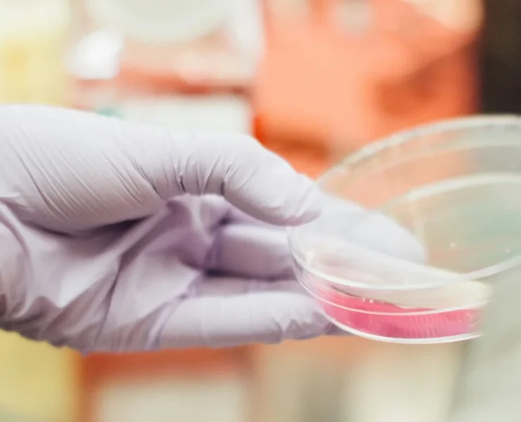 person in lab with plastic container