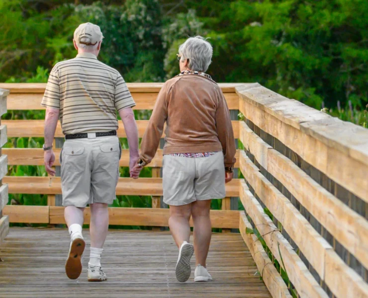 an image of two seniors walking together hand in hand