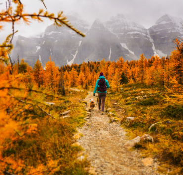 Person hiking with dog in fall weather