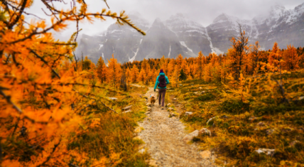 Person hiking with dog in fall weather