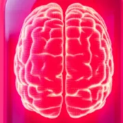 a pink glowing brain / Brain.one