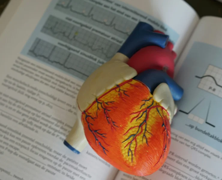 an image of a heart object within a medical book