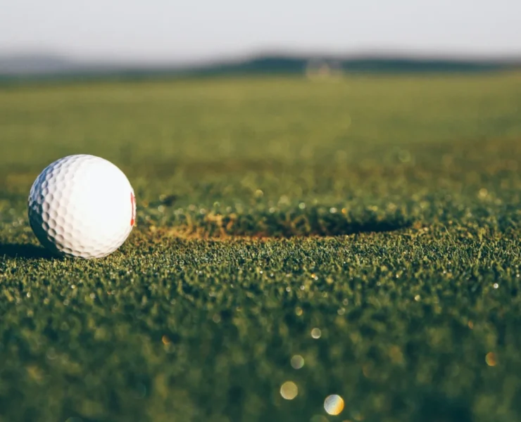 a golf nearing a hole on the golf course
