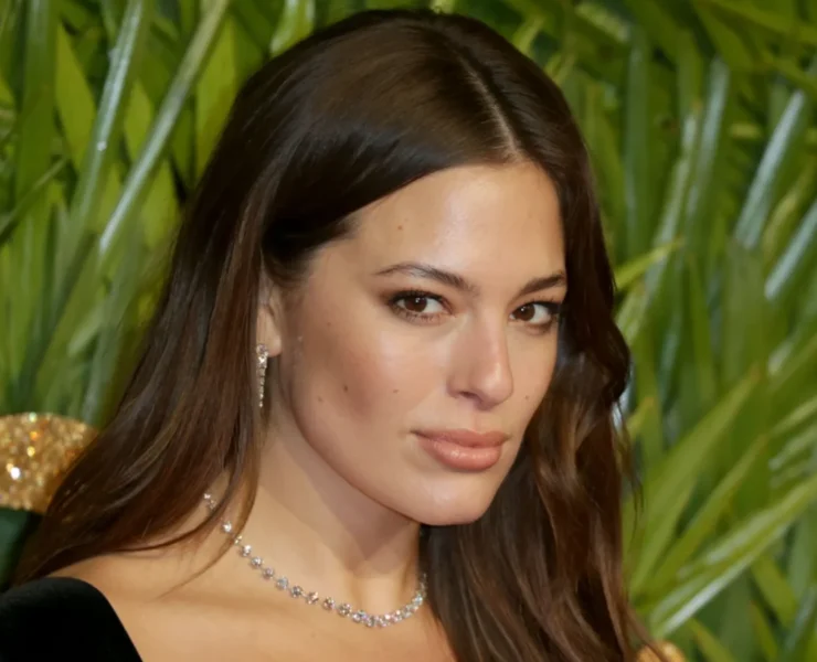 an image of Ashley Graham on the red carpet