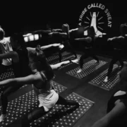 the Y7 studio experience