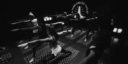 the Y7 studio experience