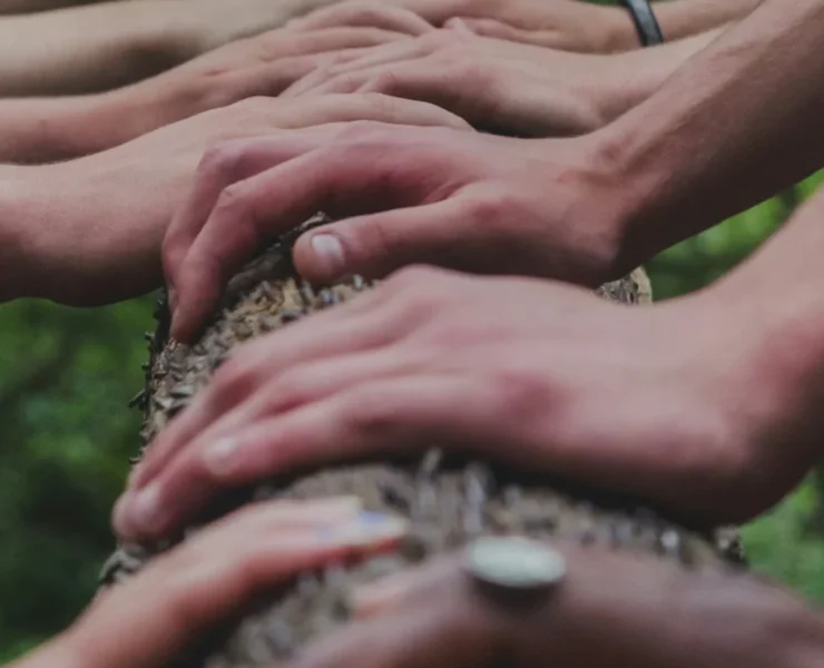 hands on a tree/wellness/community