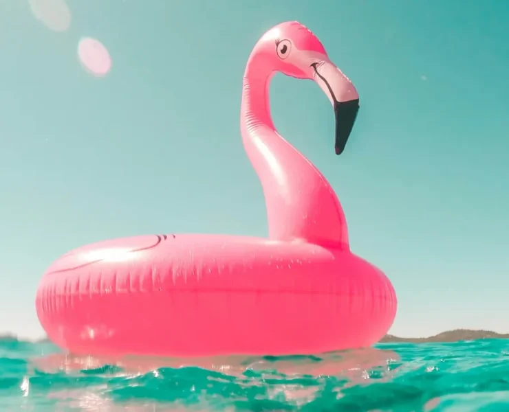 A pink flamingo float in a pool.