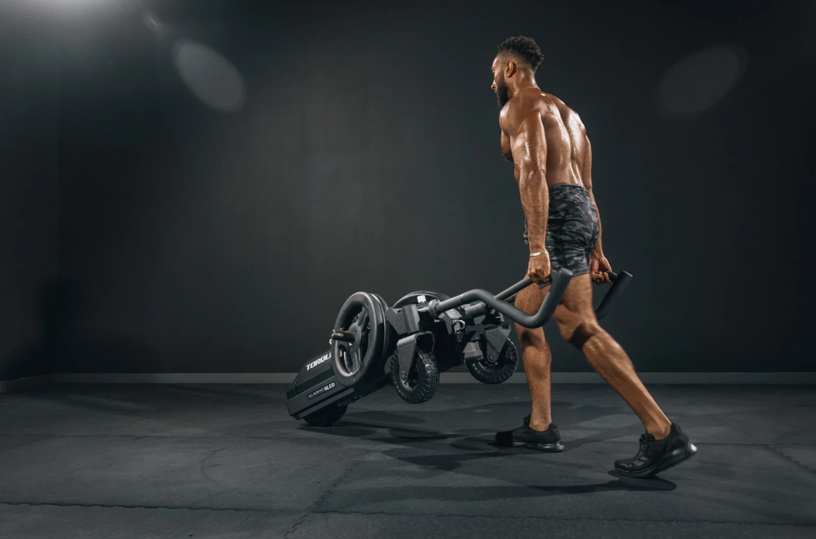 Torque Fitness sled