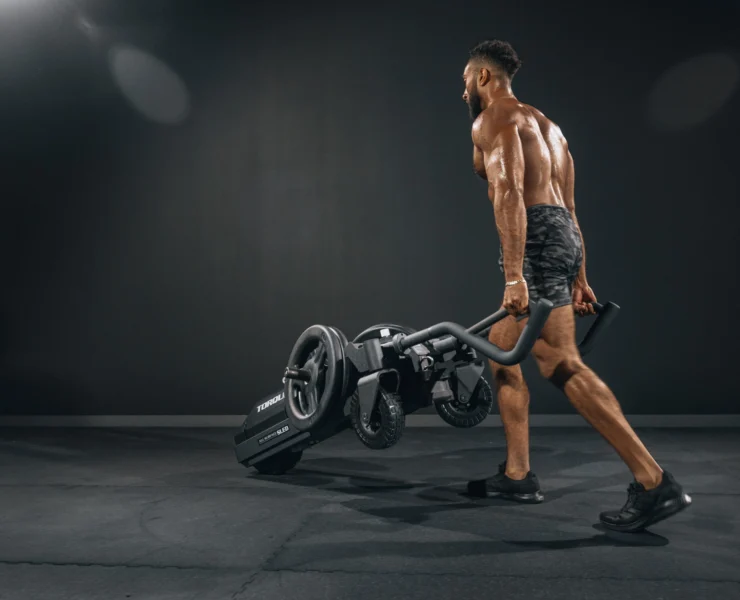 Torque Fitness sled