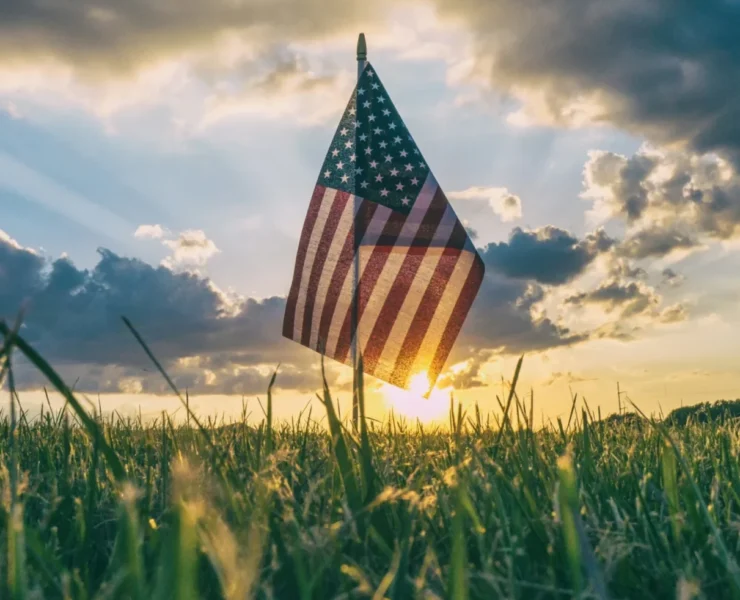 a flag in a field