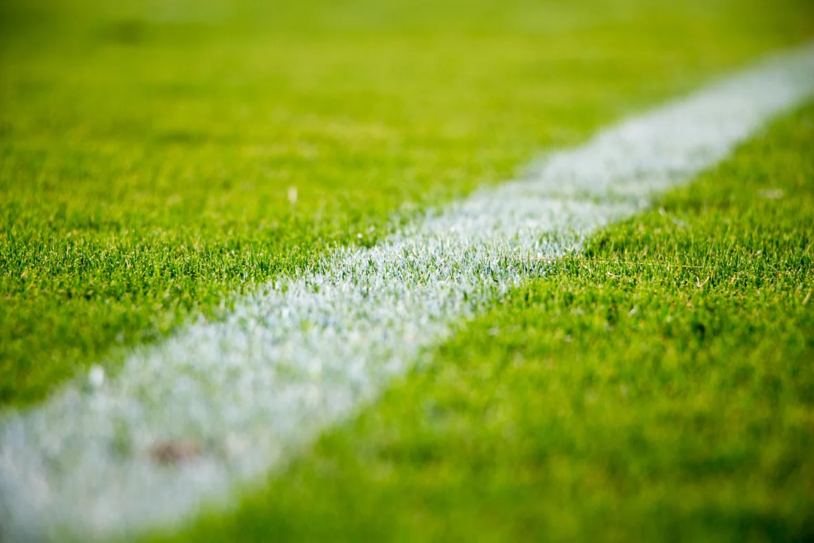 closeup of soccer field