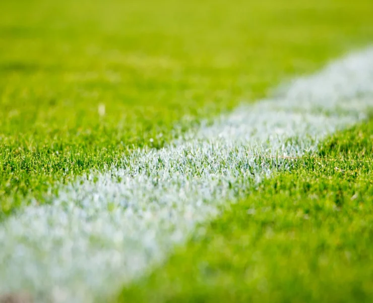 closeup of soccer field