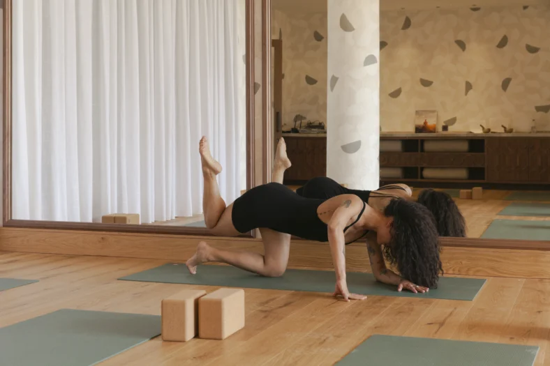 Viceroy Taryn Toomey The Class