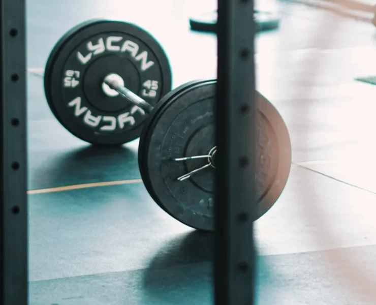 barbell with grinder plates at gym