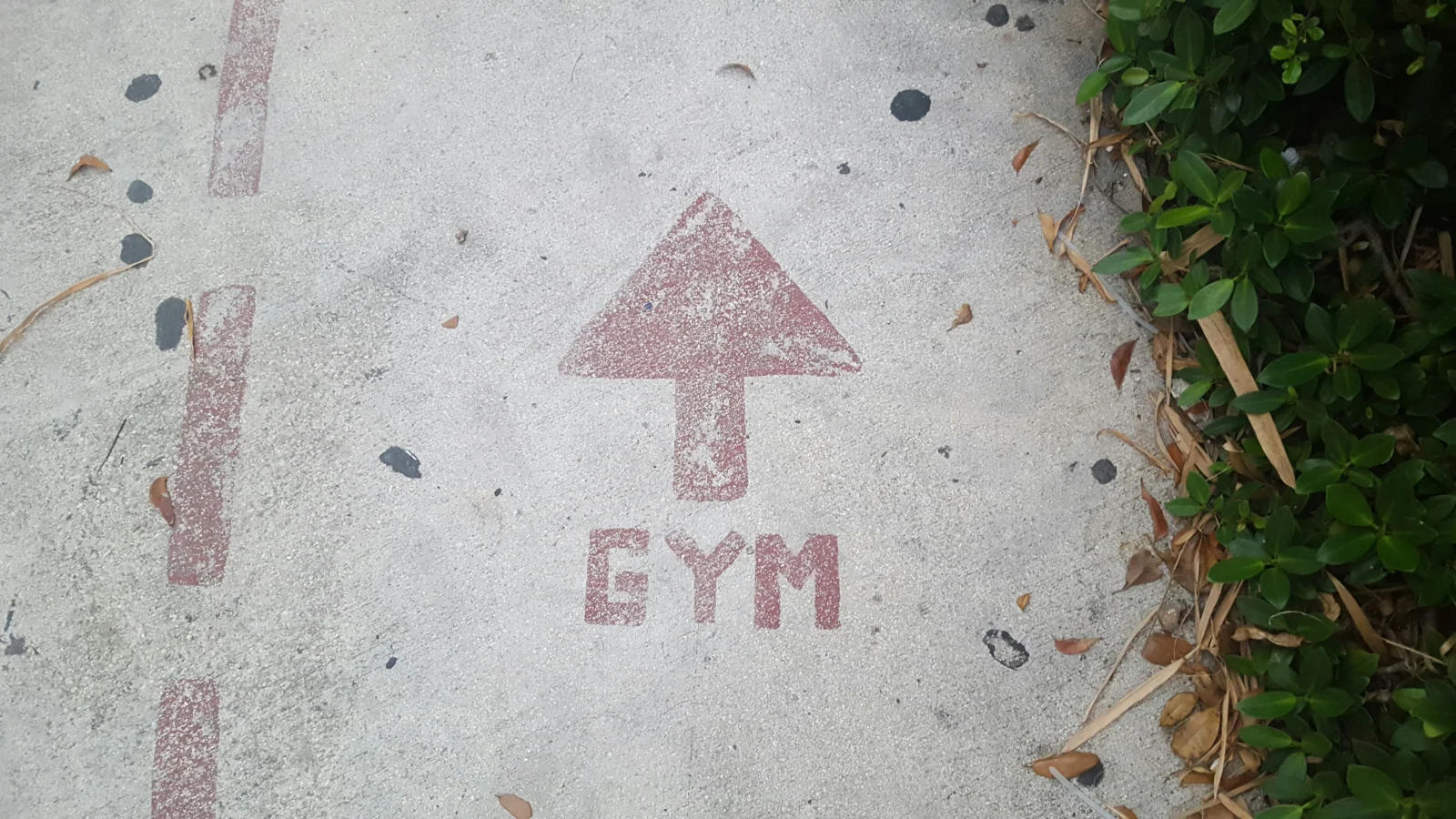 A sidewalk with "GYM" spray painted and an arrow.