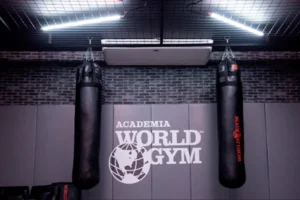 An image of two boxing bags in front of a World Gym banner.