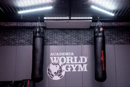 An image of two boxing bags in front of a World Gym banner.