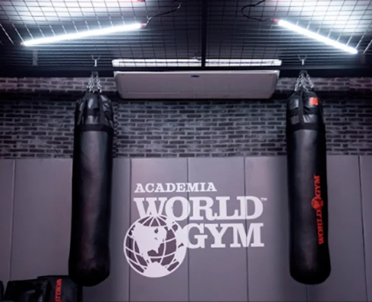An image of two boxing bags in front of a World Gym banner.