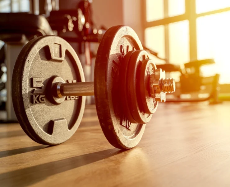 dumbbell on the floor inside a gym