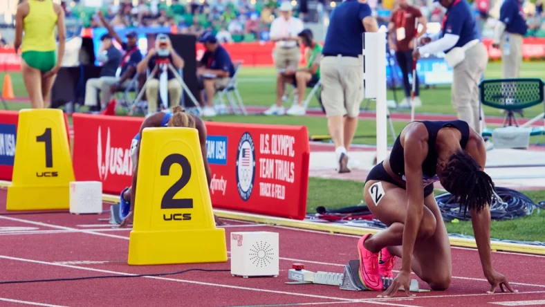 Bandit The Unsponsored Project