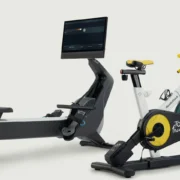 Ergatta