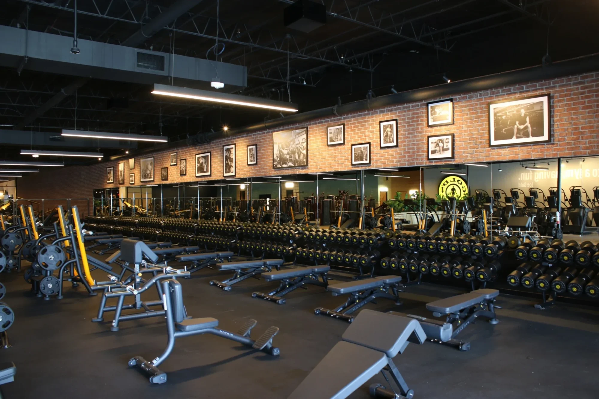 GOLD'S GYM × IRON NERVE Gold's Gym Turns 60 With Luxe Upgrades, New Locations & Hyrox