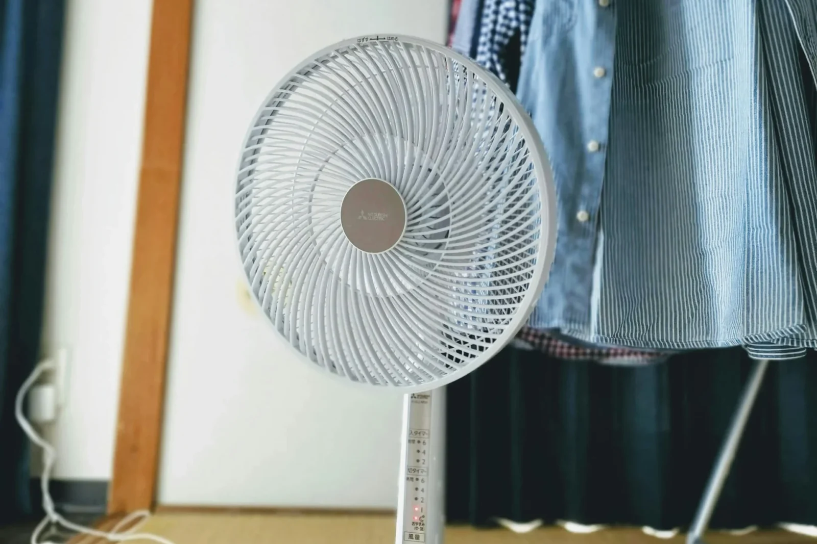 A fan