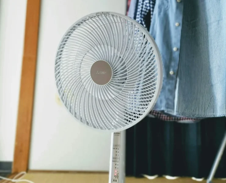 A fan