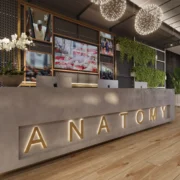 Rendering of Anatomy's new Aventura club