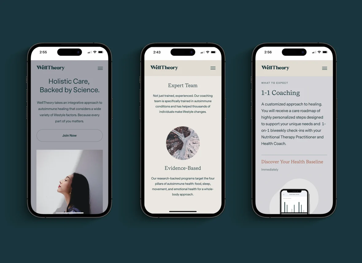 phone screens display the WellTheory app