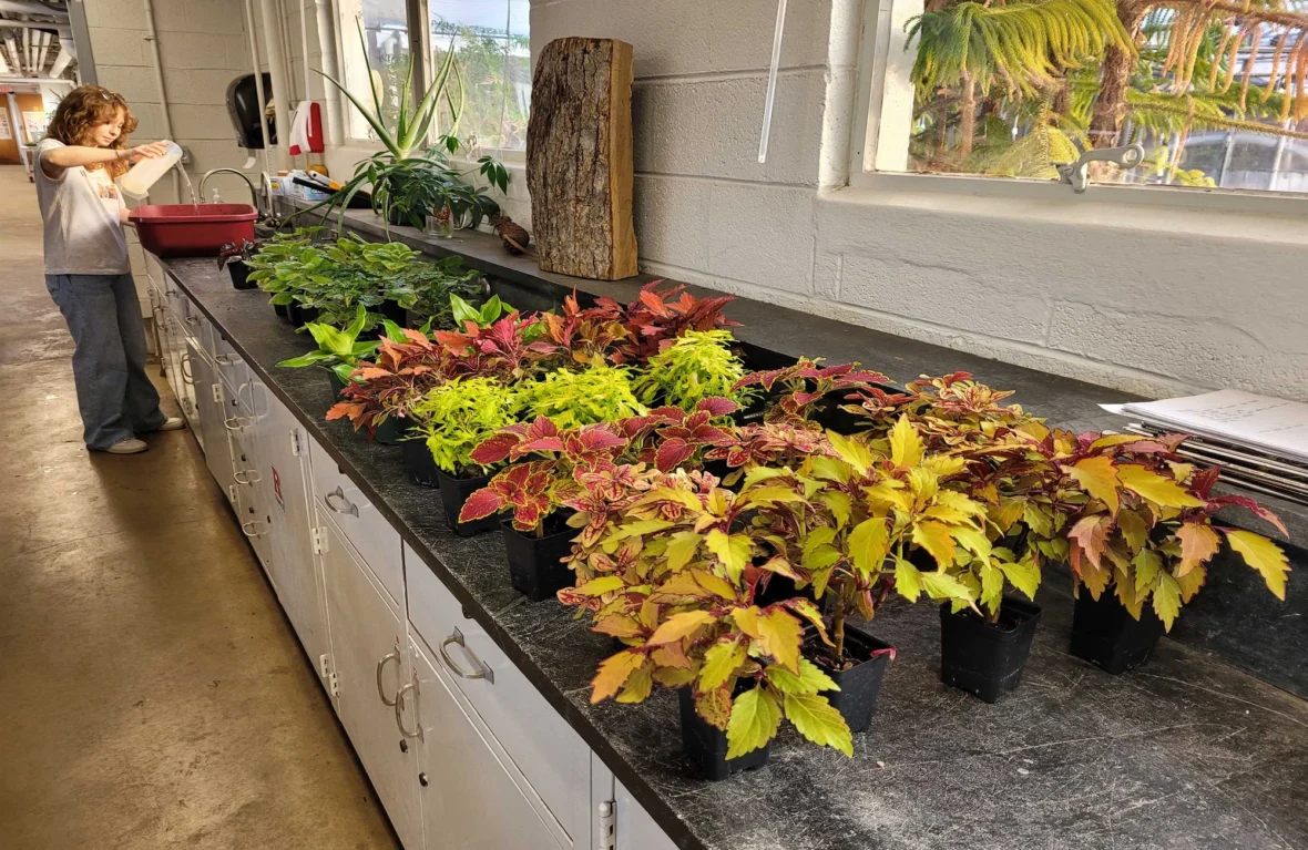 people tend to plants inside a horticulture studio