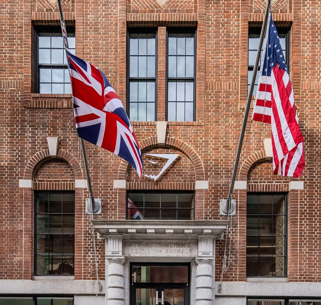 exterior of Gymshark's new Bond Street flagship store in NYC