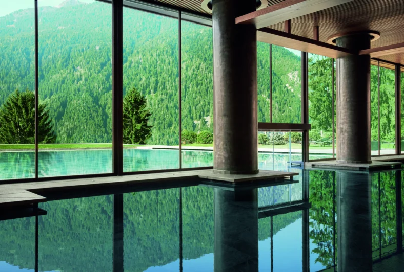 Indoor pool with a view of the forest
