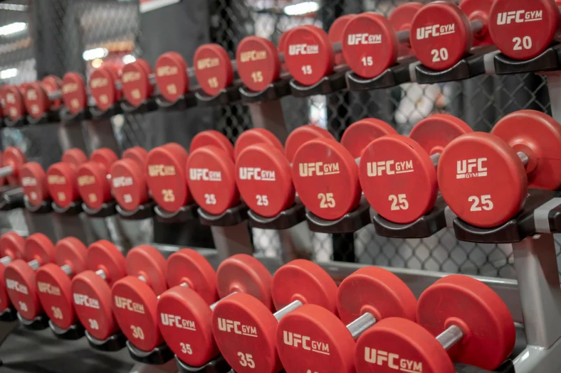 UFC GYM weights